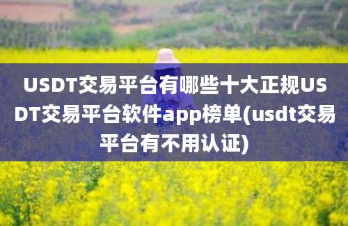 USDT交易平台有哪些十大正规USDT交易平台软件app榜单(usdt交易平台有不用认证)