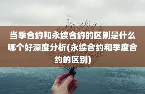 当季合约和永续合约的区别是什么哪个好深度分析(永续合约和季度合约的区别)