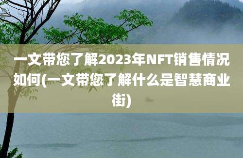 一文带您了解2023年NFT销售情况如何(一文带您了解什么是智慧商业街)