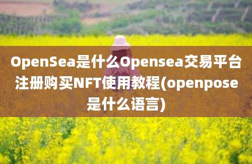 OpenSea是什么Opensea交易平台注册购买NFT使用教程(openpose是什么语言)