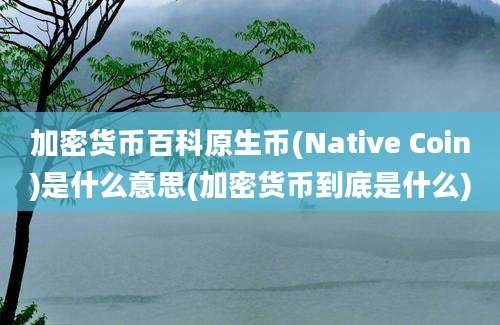 加密货币百科原生币(Native Coin)是什么意思(加密货币到底是什么)