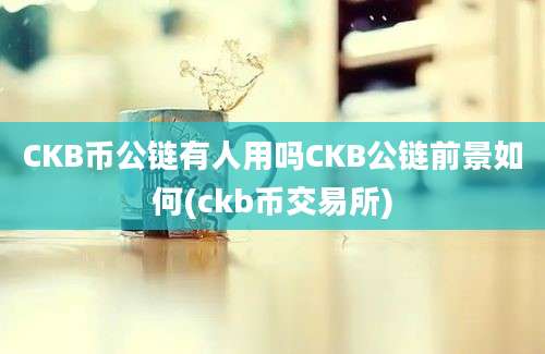 CKB币公链有人用吗CKB公链前景如何(ckb币交易所)