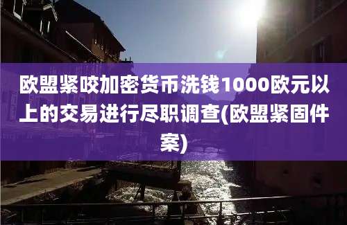 欧盟紧咬加密货币洗钱1000欧元以上的交易进行尽职调查(欧盟紧固件案)