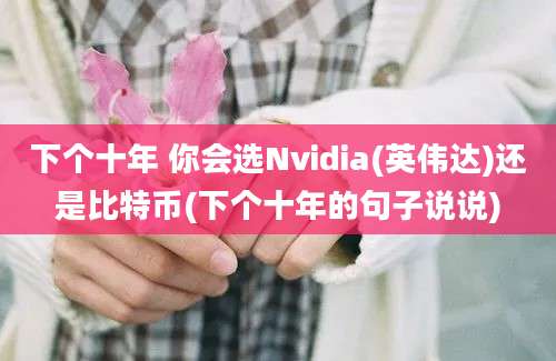 下个十年 你会选Nvidia(英伟达)还是比特币(下个十年的句子说说)