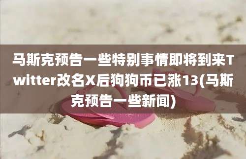 马斯克预告一些特别事情即将到来Twitter改名X后狗狗币已涨13(马斯克预告一些新闻)