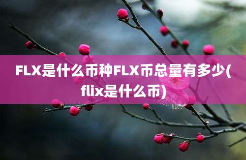 FLX是什么币种FLX币总量有多少(flix是什么币)