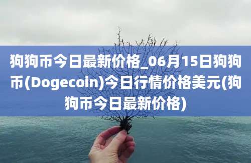 狗狗币今日最新价格_06月15日狗狗币(Dogecoin)今日行情价格美元(狗狗币今日最新价格)