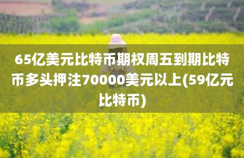 65亿美元比特币期权周五到期比特币多头押注70000美元以上(59亿元比特币)