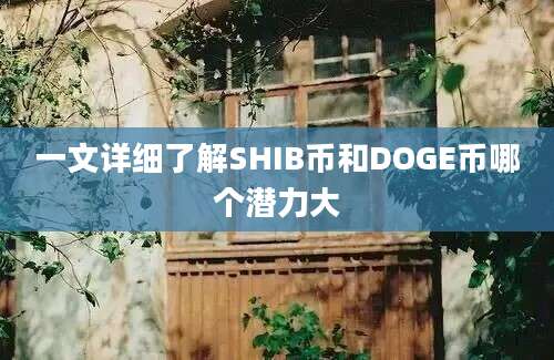 一文详细了解SHIB币和DOGE币哪个潜力大