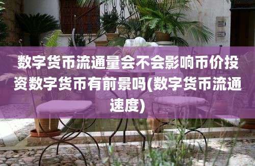 数字货币流通量会不会影响币价投资数字货币有前景吗(数字货币流通速度)