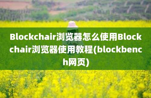 Blockchair浏览器怎么使用Blockchair浏览器使用教程(blockbench网页)