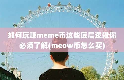 如何玩赚meme币这些底层逻辑你必须了解(meow币怎么买)