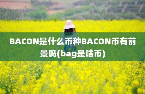 BACON是什么币种BACON币有前景吗(bag是啥币)