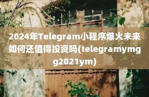 2024年Telegram小程序爆火未来如何还值得投资吗(telegramymgg2021ym)