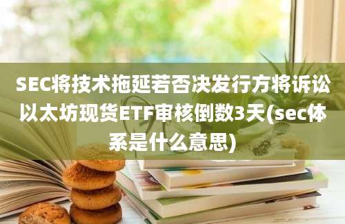 SEC将技术拖延若否决发行方将诉讼以太坊现货ETF审核倒数3天(sec体系是什么意思)