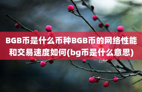 BGB币是什么币种BGB币的网络性能和交易速度如何(bg币是什么意思)