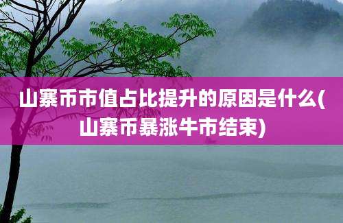 山寨币市值占比提升的原因是什么(山寨币暴涨牛市结束)