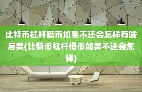 比特币杠杆借币如果不还会怎样有啥后果(比特币杠杆借币如果不还会怎样)