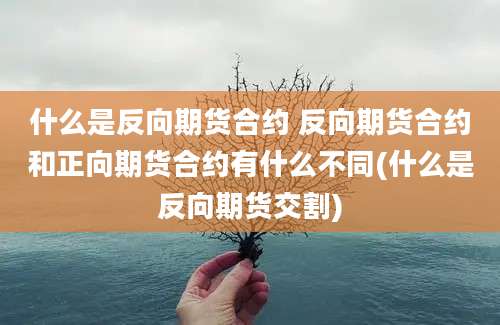 什么是反向期货合约 反向期货合约和正向期货合约有什么不同(什么是反向期货交割)