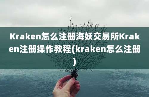 Kraken怎么注册海妖交易所Kraken注册操作教程(kraken怎么注册)