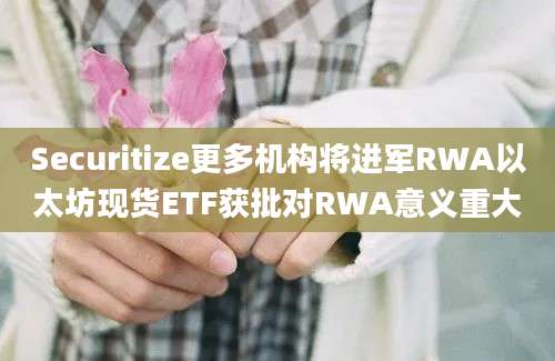 Securitize更多机构将进军RWA以太坊现货ETF获批对RWA意义重大