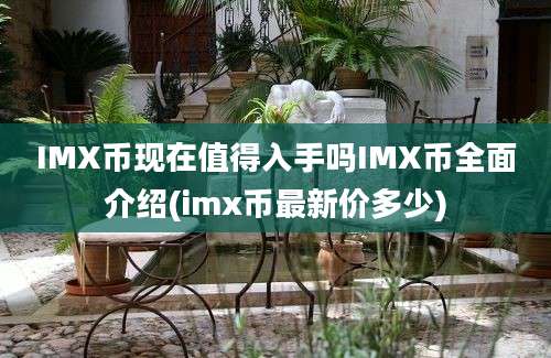 IMX币现在值得入手吗IMX币全面介绍(imx币最新价多少)