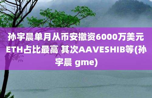 孙宇晨单月从币安撤资6000万美元ETH占比最高 其次AAVESHIB等(孙宇晨 gme)