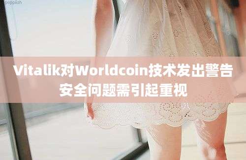 Vitalik对Worldcoin技术发出警告安全问题需引起重视