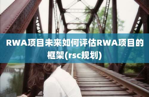 RWA项目未来如何评估RWA项目的框架(rsc规划)