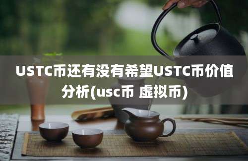 USTC币还有没有希望USTC币价值分析(usc币 虚拟币)