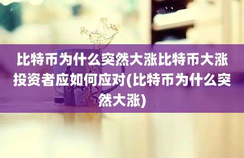 比特币为什么突然大涨比特币大涨投资者应如何应对(比特币为什么突然大涨)