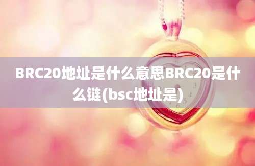 BRC20地址是什么意思BRC20是什么链(bsc地址是)