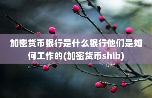 加密货币银行是什么银行他们是如何工作的(加密货币shib)