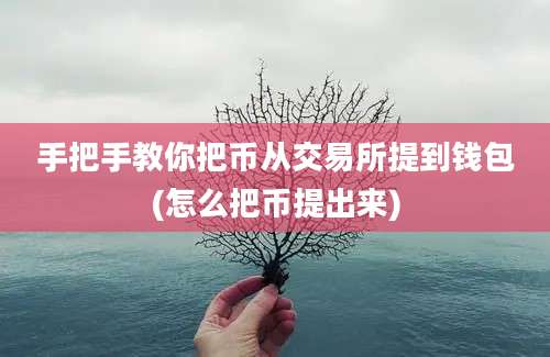 手把手教你把币从交易所提到钱包(怎么把币提出来)