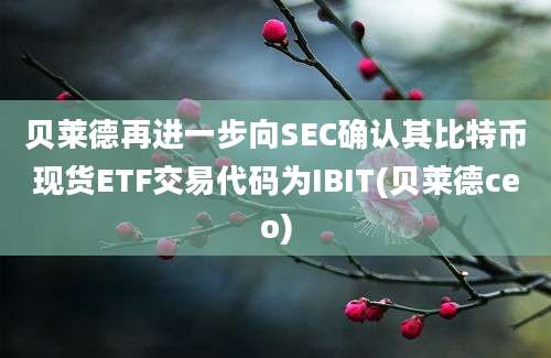 贝莱德再进一步向SEC确认其比特币现货ETF交易代码为IBIT(贝莱德ceo)