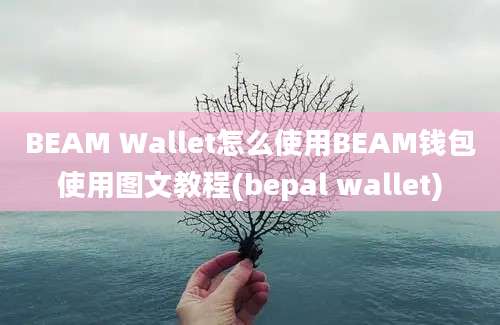 BEAM Wallet怎么使用BEAM钱包使用图文教程(bepal wallet)