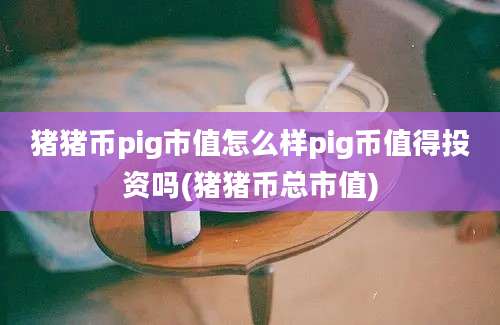 猪猪币pig市值怎么样pig币值得投资吗(猪猪币总市值)