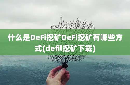 什么是DeFi挖矿DeFi挖矿有哪些方式(defil挖矿下载)