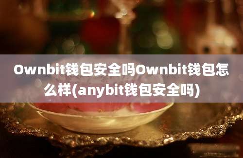 Ownbit钱包安全吗Ownbit钱包怎么样(anybit钱包安全吗)