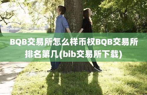 BQB交易所怎么样币权BQB交易所排名第几(bib交易所下载)