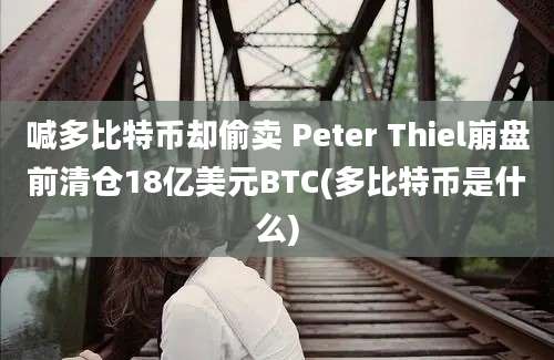 喊多比特币却偷卖 Peter Thiel崩盘前清仓18亿美元BTC(多比特币是什么)