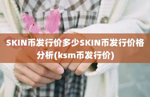 SKIN币发行价多少SKIN币发行价格分析(ksm币发行价)