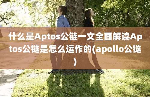 什么是Aptos公链一文全面解读Aptos公链是怎么运作的(apollo公链)