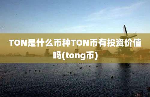 TON是什么币种TON币有投资价值吗(tong币)