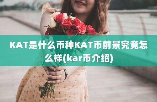 KAT是什么币种KAT币前景究竟怎么样(kar币介绍)