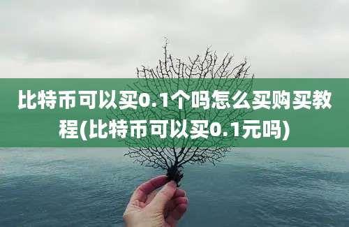 比特币可以买0.1个吗怎么买购买教程(比特币可以买0.1元吗)