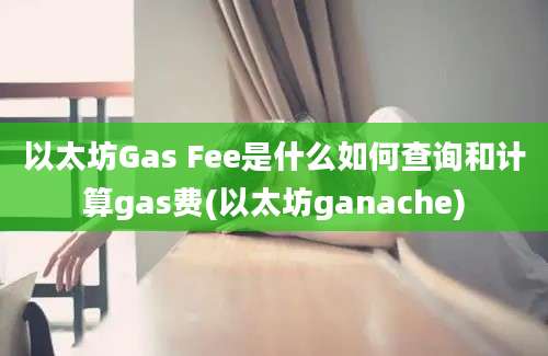 以太坊Gas Fee是什么如何查询和计算gas费(以太坊ganache)