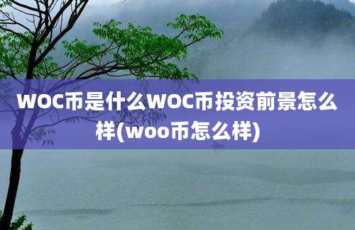 WOC币是什么WOC币投资前景怎么样(woo币怎么样)