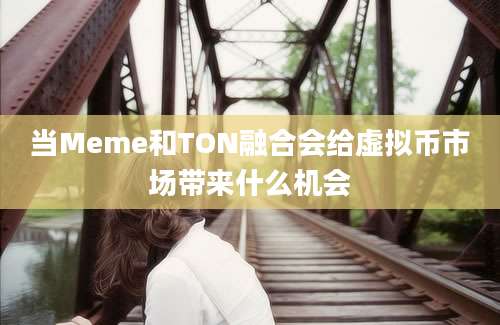 当Meme和TON融合会给虚拟币市场带来什么机会