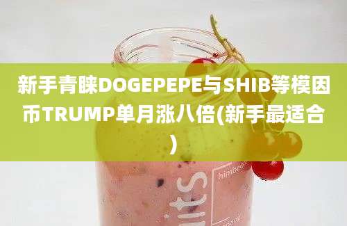 新手青睐DOGEPEPE与SHIB等模因币TRUMP单月涨八倍(新手最适合)